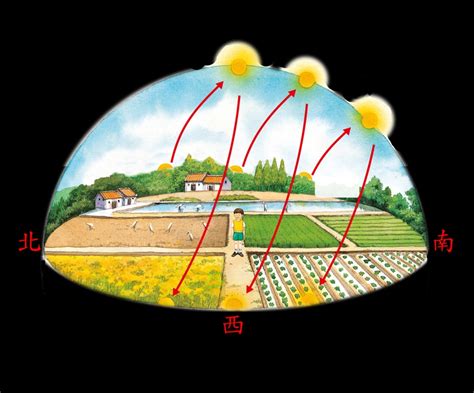 坐東南朝西北採光|房屋採光不佳？想自然採光好，這 5 撇步有效提升採光。